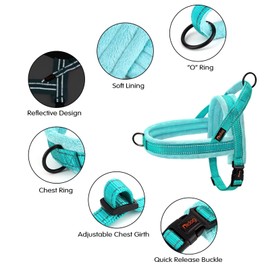 Didog Soft Flannel Padded Dog Vest Harness,Escape Proof/Quick Fit Reflective Dog Strap Harness, Easy for Training Walking(XS:Chest 15-18", Teal)