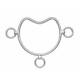 Shires Chifney Bit 6"