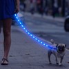 Weesiber Glowing Light Up LED Dog Leash - 4ft USB