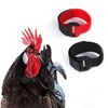2Pcs Red Crow Rooster Collar, Crow Collar Rooster CollarNo Crow
