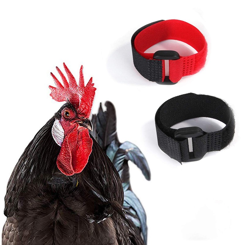 2Pcs Red Crow Rooster Collar, Crow Collar Rooster CollarNo Crow