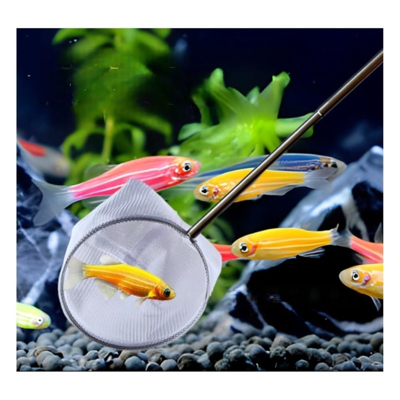 GYWHOOFT 1 Piece Aquarium Cleaning Tool Fish Net, Ebinette, Mini