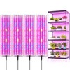 Red Bule Grow Light 4 Pack