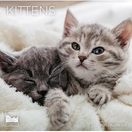 2026 Wall Calendar 12 Month | 12" x 24" Open | Giftable | Nature Calendar 2026 | Thick & Sturdy Paper for Calendar Organizing & Planning | Pacific Waters Press (Kittens)