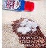 GROVE Lifter-1 Carpet Stain & Spot Remover Spray 18 oz