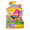 Little Live Pets Lil' Bird Pippy Hippy - Interactive, colourful