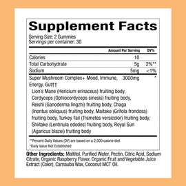 Plant People WonderDay Mushroom Gummies - Lion’s Mane, Cordyceps, Chaga Mushroom Supplement to Support Immune System De-Stress Boost Mood & Energy in Adults Natural, Vegan, Non-GMO (60 Count)