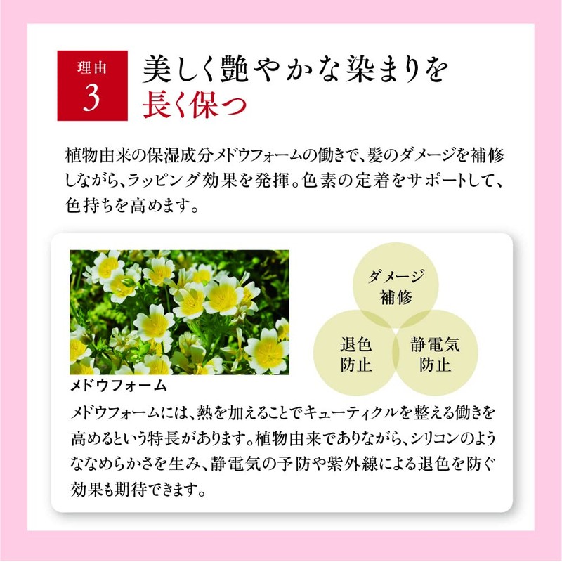 Yamada Apiary RJ Hair Color Treatment, Natural Black, 7.4 oz