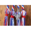 Eagle Scout Graduation Honor Cords