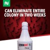 Dominant 1% Liquid Ant Bait, Borax-Based Formula, Attracts and eliminates