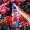 BioAdvanced Dual Action Rose and Flower Insect Killer, Continuous Spray,