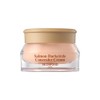 SKINFOOD Salmon Darkcircle Concealer 10g - 1 Blooming