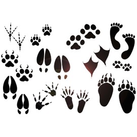 Vinyl Wall Decal Paw Prints Foot Traces of Animals Birds Pets Shop Nature Stickers Mural Large Decor (g9249) Black