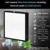 2 pack - BF35 True Hepa Filter Replacement - for