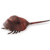 Folkmanis Horsehoe Crab Hand Puppet