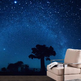 SIGNWIN Wall Mural The Beautiful Space World Removable Self-Adhesive Wallpaper Wall Decoration for Bedroom Living Room - 100x144 inches