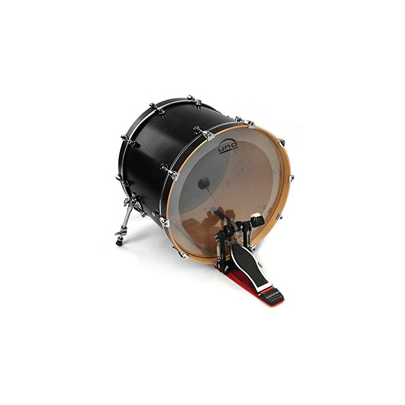 EVANS Parche para bombo Uno by Evans UBD22EQ4 un pliego
