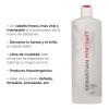 Sebastian Acondicionador Penetraitt Professional 1lt Repara