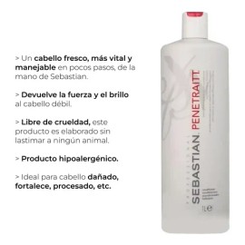 Sebastian Acondicionador Penetraitt Professional 1lt Repara                                                                                           