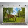 AOFOTO 7x5ft Horses in Paddock Backdrop Equestrian Rural Turkey Farm