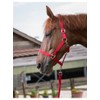 Divers Various Headcollar and Lead Rope Club ? Colours ?