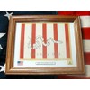 American Revolution.Framed Sons of Liberty Flag