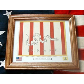 American Revolution.Framed Sons of Liberty Flag