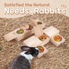 SoulThink Interactive Wooden Rabbit Enrichment Toys - Sniff n' Snack