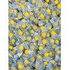 Lemonheads Candy - Lemon Candy - 1 LB Bag -