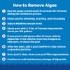 In The Swim Algaecide 60 Plus for Swimming Pools -
