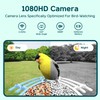 Bird Feeder with Camera Solar Powered, Smart Bird Feeder Camera