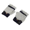 1Pair USB Heated Gloves Adjustable Temperature Electric Heated Gloves for