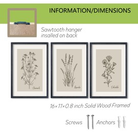 TQianJiang Set Of 3 Framed Vintage Botanical Prints Wall Art 16"×11" Wildflower Pictures Wall Decor for Bedroom Bathroom Living Room Minimalist Line Drawing Neutral Tones Wall Hanging (Black)