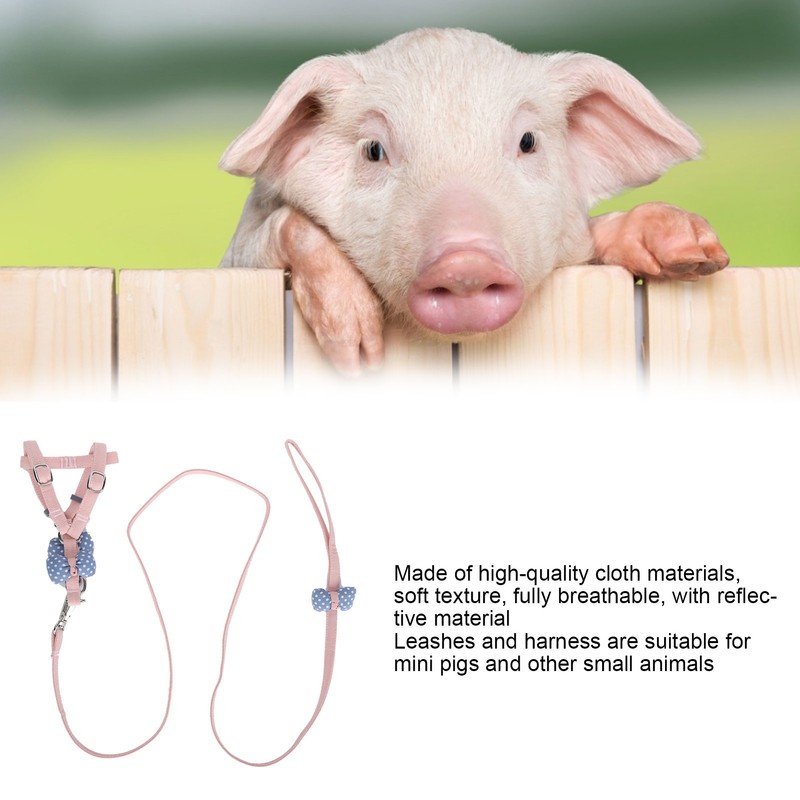 Pet Pig Vest Harness with Leash Set EscapeProof Walking Harness
