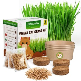 PLANTMEW Cat Grass for Indoor Cats - Cat Grass Seeds Kit - Organic Cat Grass Growing Kit with High Germination Organic Wheat Seeds, Soil, and Planting Tools - Natural Hairball Control and Digestion Remedy