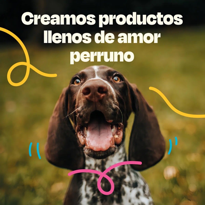 Dogelthy Gastro Aid Probioticos Para Perros en Polvo 270 gr