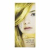 Kwailnara 99 Lemon Yellow Pearl Pearl Dye (WDB8A60) - Basic product / 과일나라 99 레몬 옐로우 진주펄 염색약 (WDB8A60) - 기본상품
