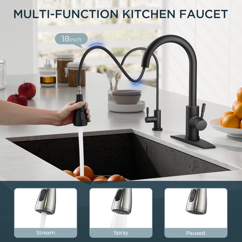 FORIOUS Kitchen Faucet and Water Filter Faucet Combo, Black Stainless