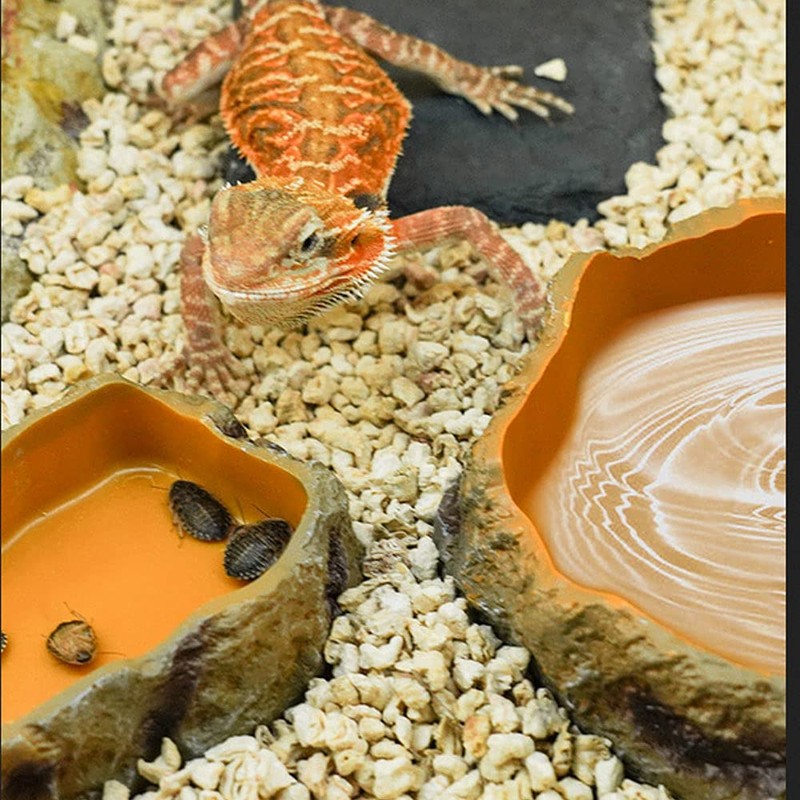 Reptile Worm Water Bowl, Medium Size Resin Rock Dish Plate,