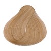 Loquay Tinte en Crema Pure Color, Rubio Muy Claro, 120