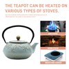 SECHUDO Cast Iron Teapot Tea Kettle with Stainless Steel Infuser