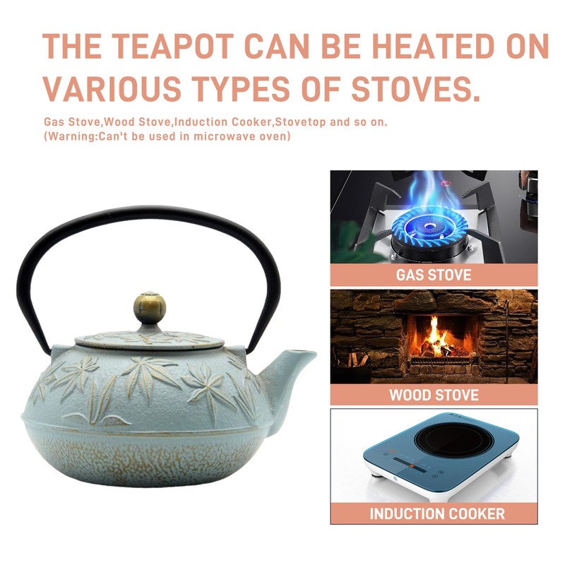 SECHUDO Cast Iron Teapot Tea Kettle with Stainless Steel Infuser