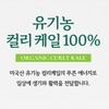 유기농 컬리케일분말 동결건조 곱슬케일 가루 파우더, 50g, 2개 Organic Curly