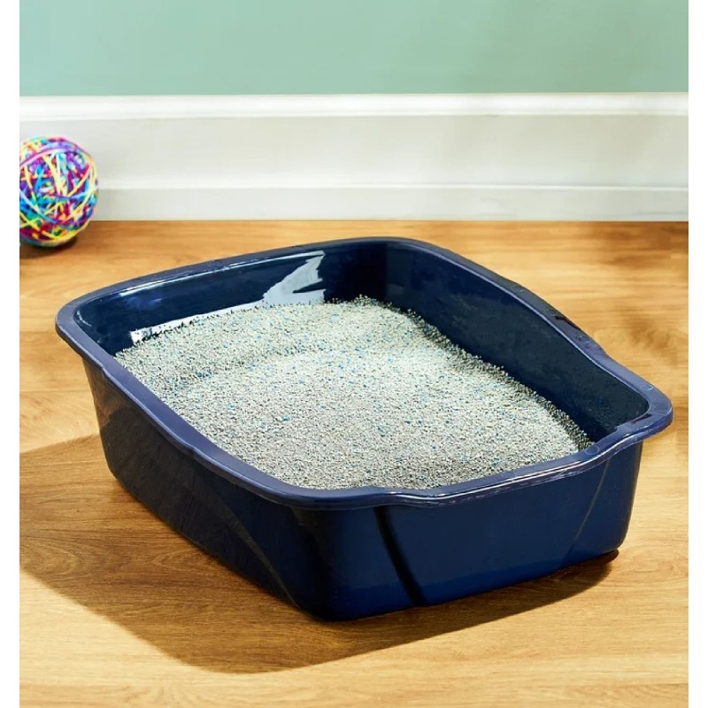 Vibrant Life Large Open Cat Litter Box
