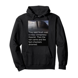 Noah Guy Faithful & Awake Christian Conspiracy Truth The Ark Pullover Hoodie