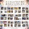 [High Class Pack SR or Higher Certified] ALPHA OLIPA [Single