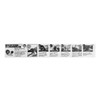 ICHIGUCHI 99013 Woodworking Polishing Set