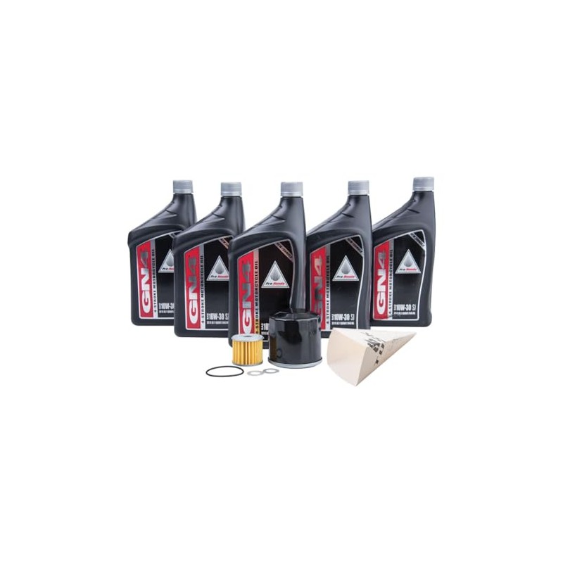 Oil Change Kit With Pro-Honda GN4 10W-30 for Honda Africa