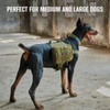 OLIFE Tactical Dog Backpack & Lead Dog Harness 900D Polyester