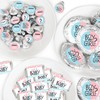 Big Dot of Happiness Baby Gender Reveal - Mini Candy